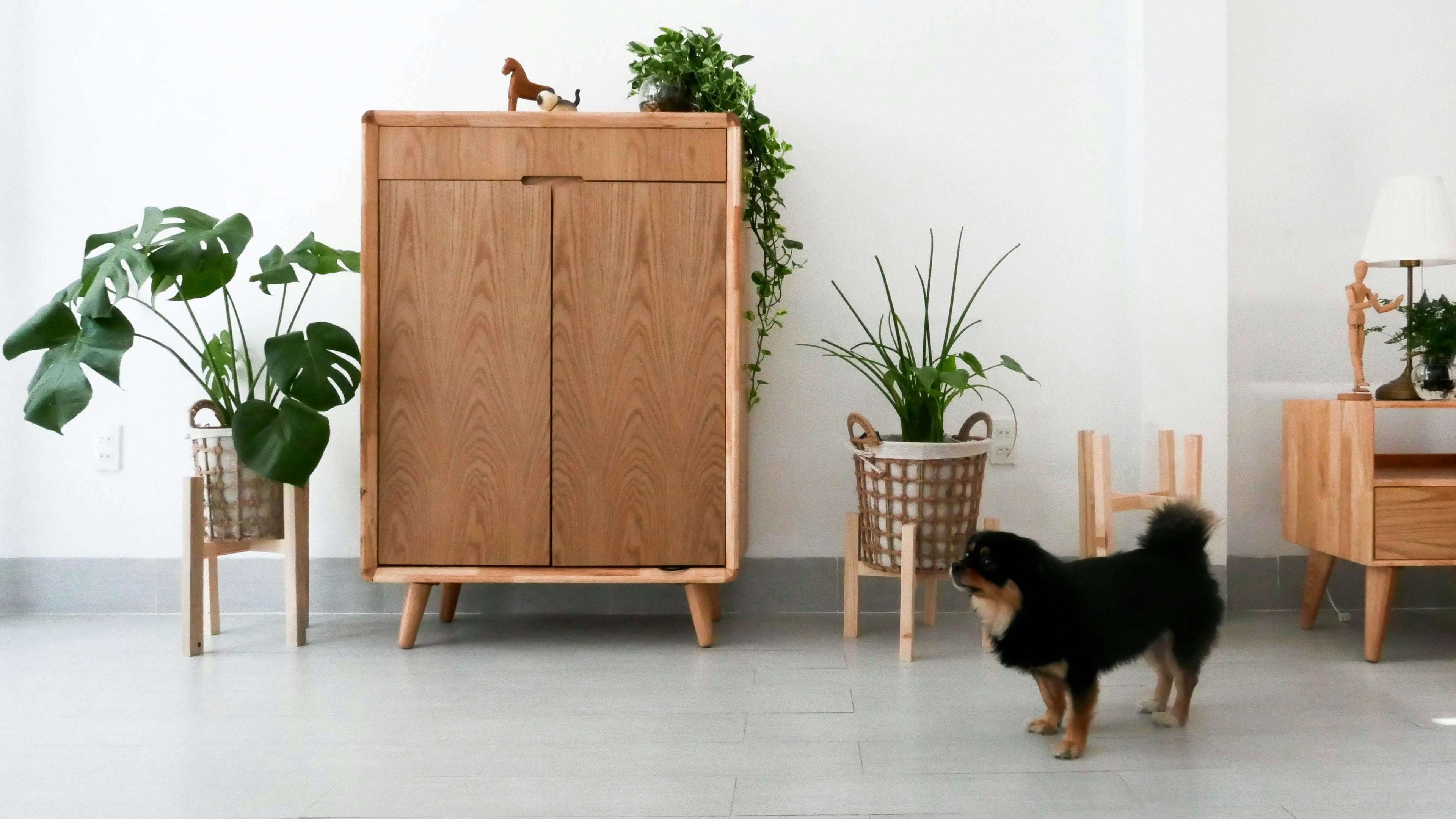 Storage & Organization